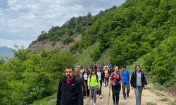 Patika’dan Doğaya Yolculuk