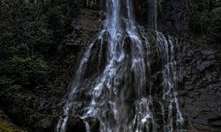 Artvin’e Bir Müjde Daha