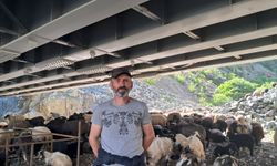 “Bu İşin Altından Kalkamıyoruz”