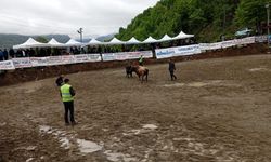 İlk Günün Şampiyonları Belli Oldu