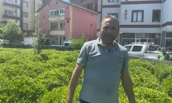 “2025 Çay Taban Fiyatı Yetersiz”