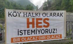 Çamlıca HES Projesi'ne Karşı Bilirkişi İncelemesi Yapıldı