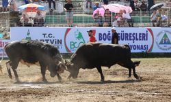 2025’in Güreş Takvimi