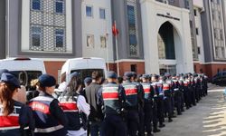 "DENGE" Suç Örgütü Çökertildi!