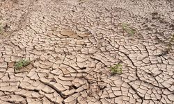 Kuraklık 2050 Yılına Kadar 1 Milyar Kişiyi Göç Ettirebilir