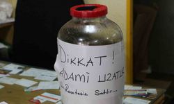 Aman dikkat! ‘Bu bal adami uzatur’