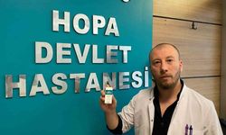 Hopa’da Yılan Sokmaları Arttı, Uzmanlar Hopa Engereği Konusunda Uyardı