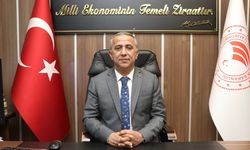 Kahverengi kokarcada mücadele zamanı