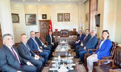 Kahverengi Kokarcaya Karşı 173 Mahallede Seferberlik