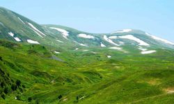 Posof’ta Yayla Mevsimi Başladı