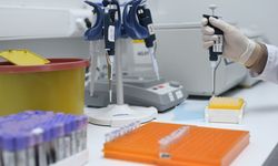 AkgenLab: Genetik Biliminin Gücünü Keşfedin
