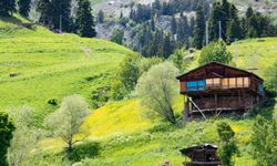 Artvin'in Yaylaları Doğaseverleri Ağırlıyor