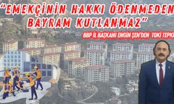 “Artvin Halkı Sahipsiz Değil”