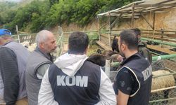 Kurban Pazarında Sahte Para Uyarısı