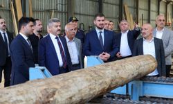 Artvin Valisi Ergün'den Orman Ürünleri Tesisine Ziyaret