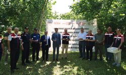 Kahverengi Kokarca ile Biyolojik Mücadele Başladı