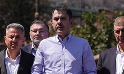 Bakan Kurum'dan orman yangınlarındaki hasar tespit çalışmalarıyla ilgili açıklama