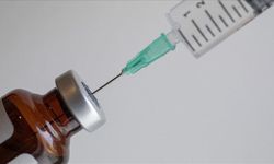 Dünyada 304 Milyon İnsan Hepatit B Veya C ile Yaşıyor