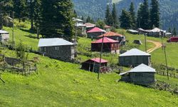 Gölyanı Yaylası'nı turizme kazandırma çalışmaları