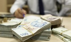 Türkiye'nin yerel gücü, kalkınma ajanslarının destekleriyle harekete geçiriliyor