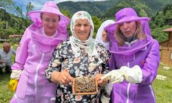 Artvin’de Arıcılığı Doğa Turizmiyle Birleştiren "Apiturizm" Faaliyetleri Başladı