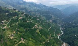 Trabzon’un Yol Ağı, Washington Gidiş Geliş Mesafesini Geride Bıraktı