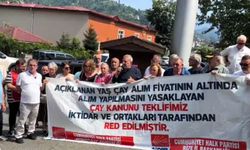 “205 Bin Aile Özel Sektöre Mahkum Edildi”