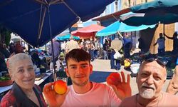 Artvin Pazarı El Yakıyor: 2 Nektarin 100 Lira