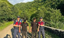 Artvin’de Kaçak Göçmenler Ormanlık Alanda Yakalandı