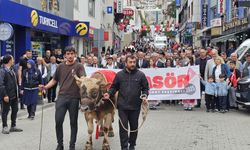 Kafkasör Festivali Coşkuyla Başladı
