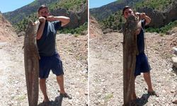 Ardanuç’ta Baraj Gölünde Dev Yayın Balıkları Yakalandı