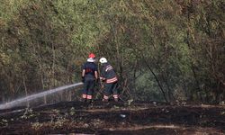 Trabzon'da Çıkan Örtü Yangını Söndürüldü