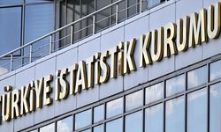 TÜİK, 'Sosyoekonomik Seviye 2023' Bültenini 18 Ağustos'ta Yayımlayacak