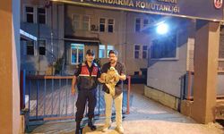 Artvin’de Yaralı Şahin Jandarma Ekiplerince Kurtarıldı