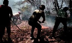 Ordu’nun iki ilçesinde çıkan yangın ekipler tarafından söndürüldü