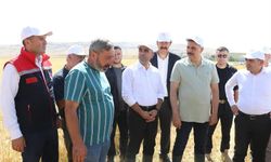 Tarımsal üretime gençlik aşısı