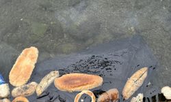 Yüzlerce ekmek, simit ve mısır ekmeğini denize döktüler
