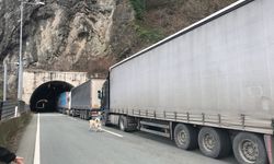 Sarp Sınır Kapısı’nda Tır Kuyruğu: Şoförler Geçim Derdinde