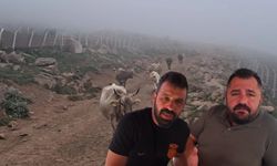 Şap Hastalığı Şavşat’ta Hayvancılığı Vurdu