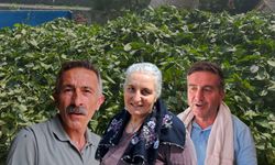 Çay Üreticileri İsyan Etti