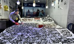 Hamsi avcılığı hem balıkçıyı hem tüketiciyi memnun etmeyi sürdürüyor