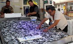 Kota getirilen hamsi avcılığının verimli başlaması gelecek adına umut oldu