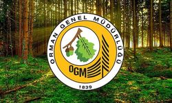 Orman Genel Müdürlüğü 262 daimi işçi alacak