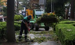 Trabzon'da rüzgar etkili oldu