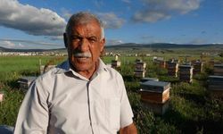 Ardahan’da 450 ton bal üretildi
