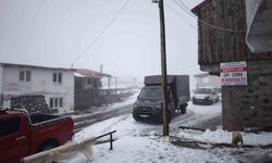 Artvin’in Vadilerini Sel, Yaylalarını Kar Vurdu