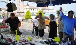 Hamsi için geri sayım başladı: Balıkçılar yolunu gözlüyor