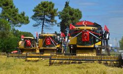 Samsun’da "1. Çeltik Hasat Günü"