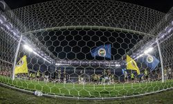 Fenerbahçe, her pozisyona transfer yaptı