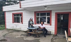 1982'den Beri Ayakta